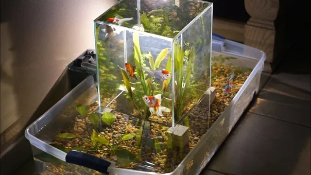 How to Level a Large Aquarium: Tips and Tricks for Perfectly Balanced Tanks