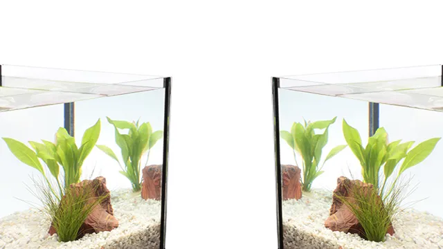 how to level water aquarium