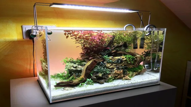 How to Light a Planted Aquarium: Tips and Tricks for Perfect Illumination