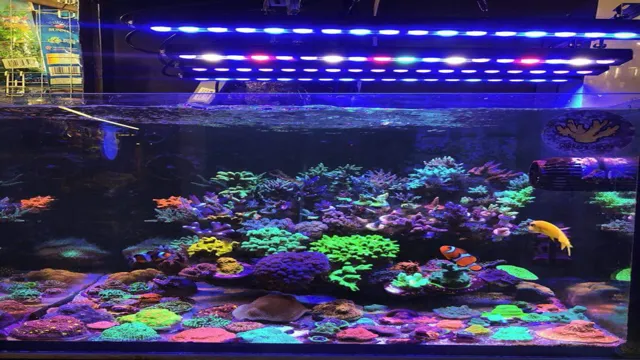 how to light a reef aquarium