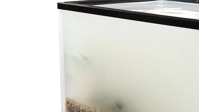 How to Look for Cloudy Aquarium Water and Get Crystal Clear…