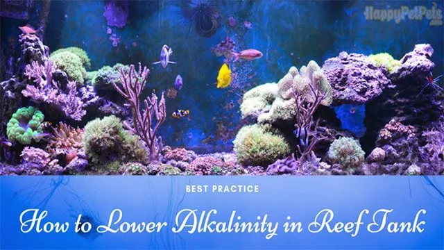 how to lower alkalinity in a saltwater aquarium