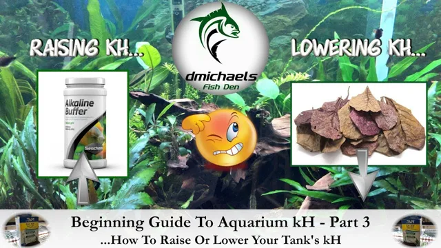 how to lower alkalinity in an aquarium