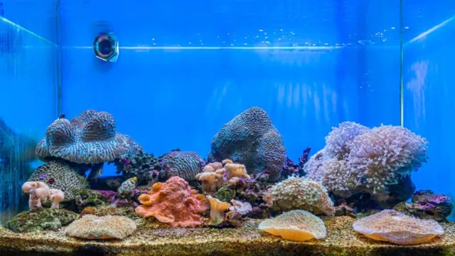 how to lower alkalinity in reef aquarium