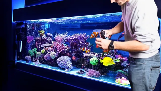 How to Lower Alkalinity Levels in Saltwater Aquarium with These Simple Techniques