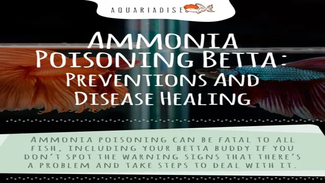 how to lower ammonia in freshwater aquarium