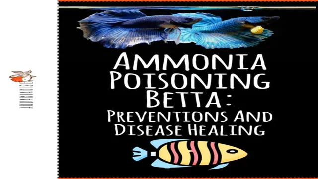 How to Lower Ammonia in Freshwater Aquarium: Tips and Tricks