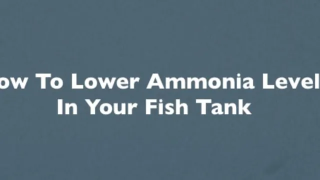 how to lower ammonia levels in aquariums