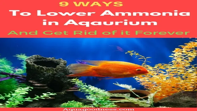 how to lower ammonia levels in freshwater aquarium