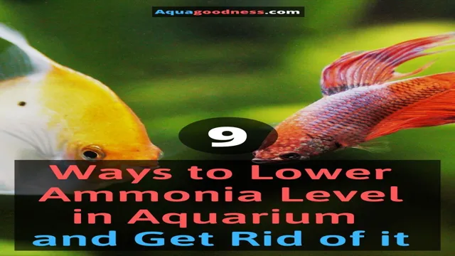how to lower amonia levels in saltwater aquarium