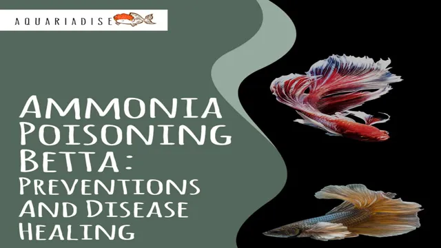 how to lower aquarium ammonia