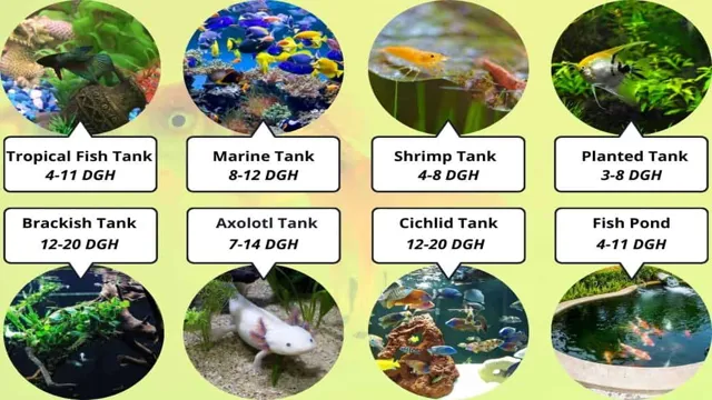 How to Lower Aquarium Hardness: Tips and Tricks for Optimal Fish Health