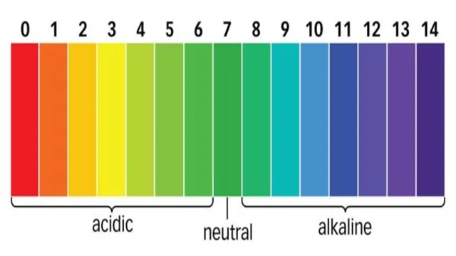 How to Lower Aquarium pH Naturally: Simple Ways to Create a Safe and Healthy Environment for Your Fish