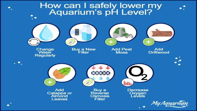 How to Safely Lower Aquarium pH: Tips and Tricks