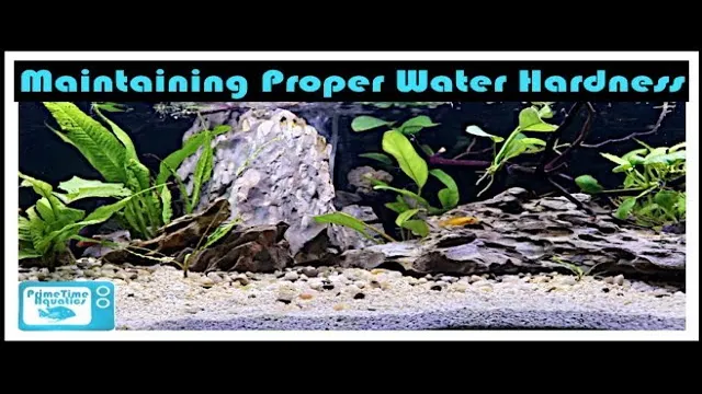 how to lower aquarium water hardness