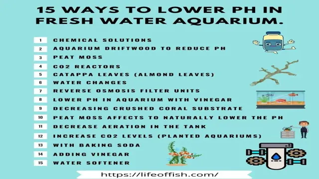 How to Lower Aquarium Water Level: Top 7 Effective Ways