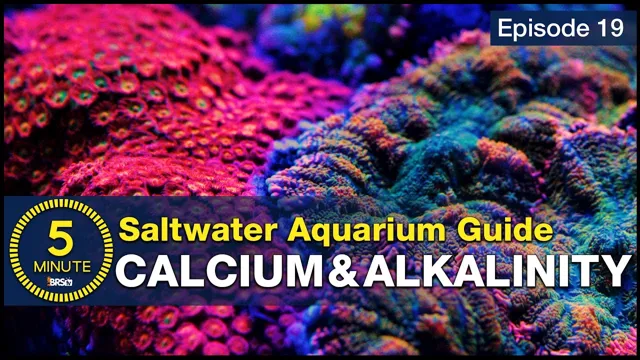 How to Lower Calcium and Alkalinity in Reef Aquarium Like an Expert