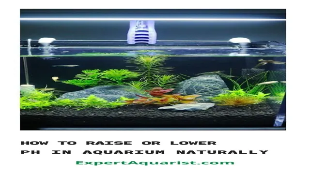 How to Lower Hard Water in Aquariums: Tips and Tricks for Better Fish Health