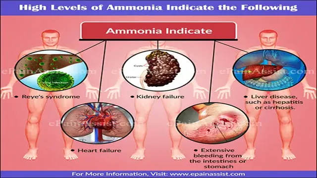 How to Lower High Ammonia Levels in Aquarium: Effective Tips and Tricks