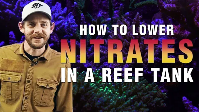 how to lower nitrates and nitrites in saltwater aquarium