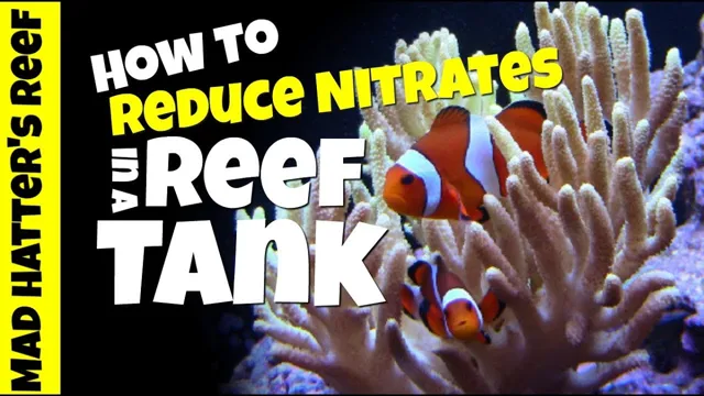 how to lower nitrates and phospates in saltwater aquarium