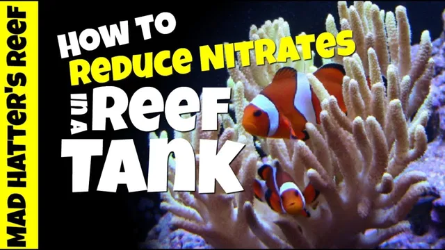 How to Lower Nitrates in Saltwater Aquarium Quickly: 5 Effective Methods