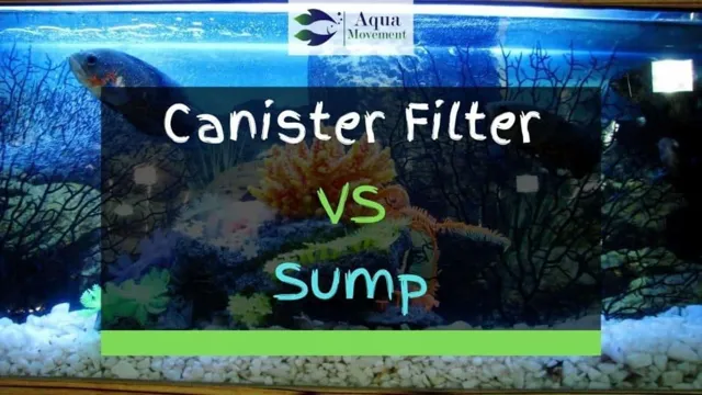 How to Lower Nitrite and Nitrate Levels in Aquarium: Proven Tips and Techniques