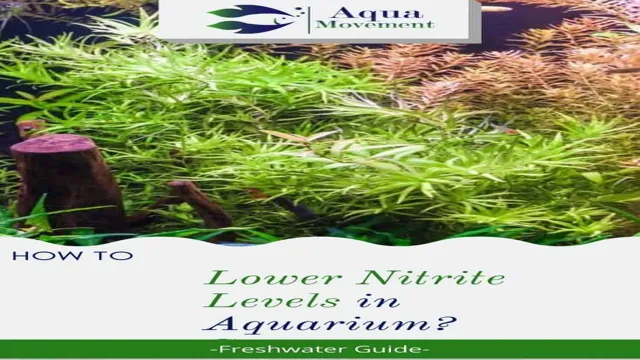 How to Lower Nitrite and Nitrate Levels in Freshwater Aquarium: Tips and Tricks