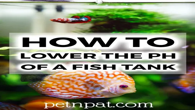 How to Lower pH in Aquarium with Fish: 5 Effective Techniques