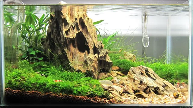 how to lower ph in an aquarium naturally