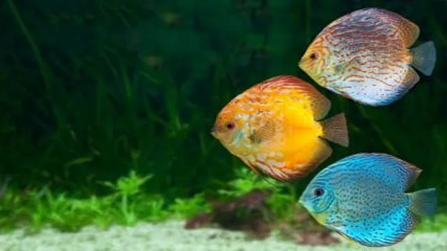 how to lower ph in aquarium with potassium