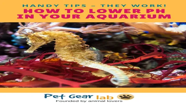 how to lower ph in aquarium with vinegar freshwater