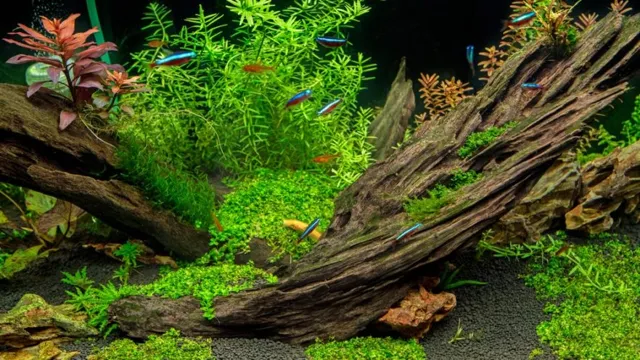 how to lower ph in planted aquarium