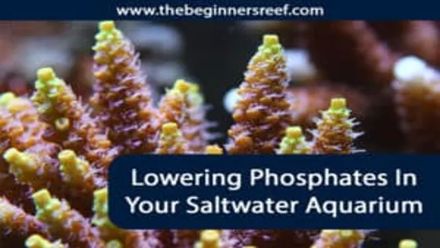 how to lower phosphates in planted aquarium