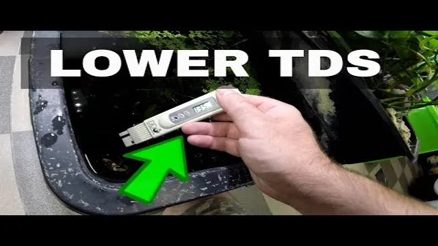 How to Lower TDS in Aquarium without RO: Effective Ways to Improve Water Quality