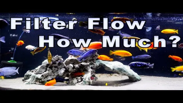 How to Lower the Flow on an Aquarium Filter: 7 Easy Steps to Control Water Flow in Your Fish Tank