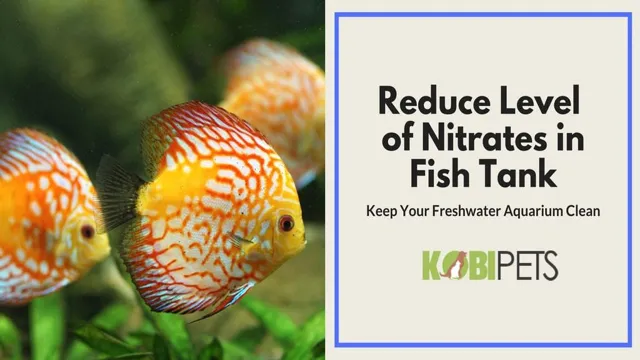 how to lower the nitrates in a freshwater aquarium