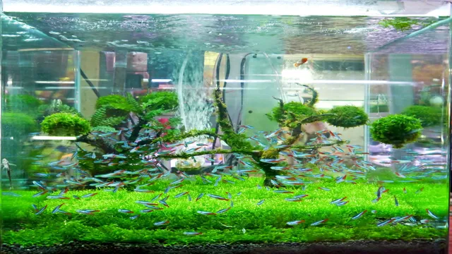 how to lower the ph in a planted aquarium