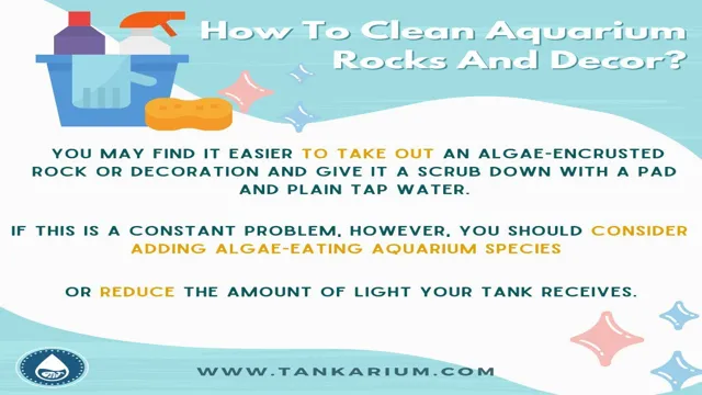 how to maintain a clean aquarium tank
