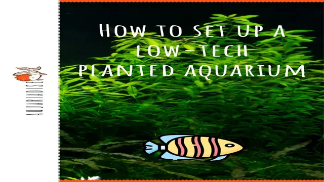 How to Maintain a Low Tech Planted Aquarium: Tips and Tricks for Easy Plant Care