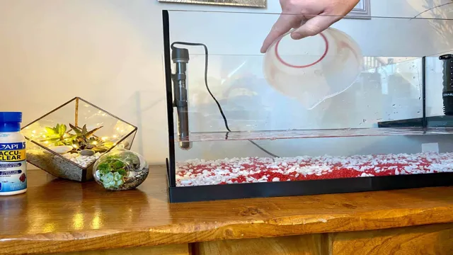 how to maintain a small aquarium