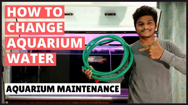 how to maintain aquarium at home in hindi