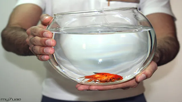 How to Maintain Aquarium Temperature for Goldfish: Tips and Tricks