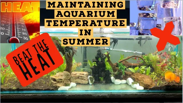 How to Maintain Aquarium Temperature in Summer: Tips and Tricks