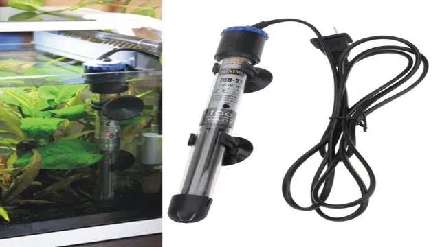 How to Maintain Aquarium Temperature without Heater: Tips and Tricks