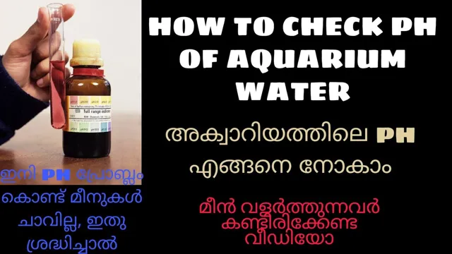 how to maintain aquarium water ph