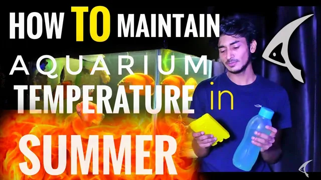 How to Maintain Aquarium Water Temperature in Summer: Tips and Tricks