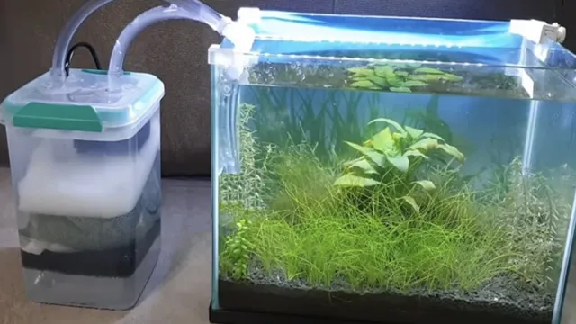 how to maintain aquarium without filter