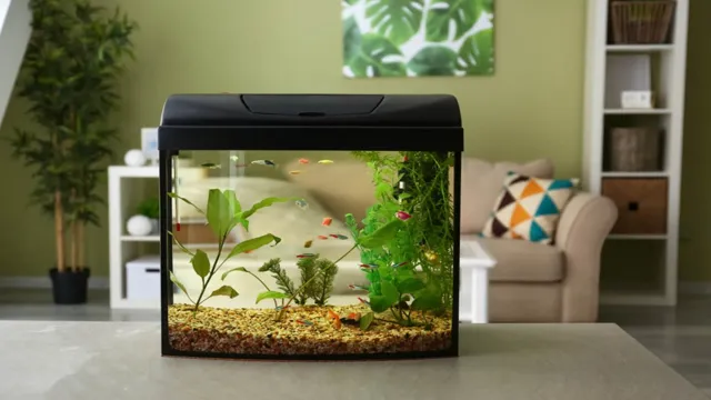 How to Maintain Aquariums Below Room Temperature: Tips and Tricks