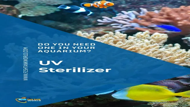 how to maintain clear water in aquarium